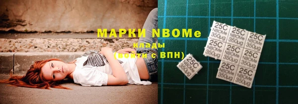хмурый Алексин