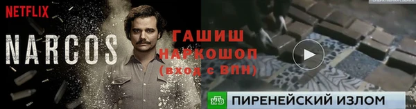 хмурый Алексин