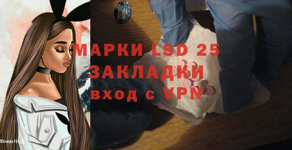 хмурый Алексин