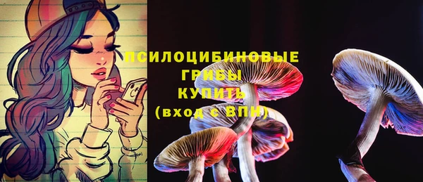 спайс Алзамай