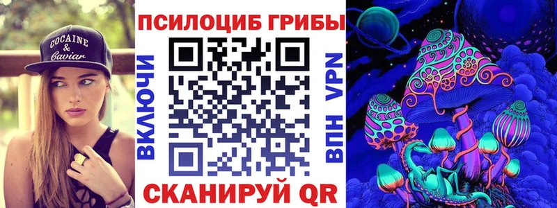 Псилоцибиновые грибы Cubensis  Тайшет 
